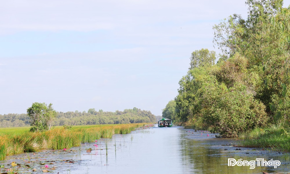 Hồi sinh Tràm Chim - Nỗ lực kiến tạo một “vùng đất Ramsar đa giá trị”