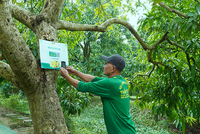 Làng thông minh - kết nối công nghệ, nâng chất nông thôn mới