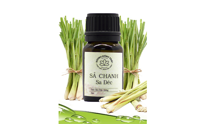 Tinh dầu Sả Chanh Sa Đéc