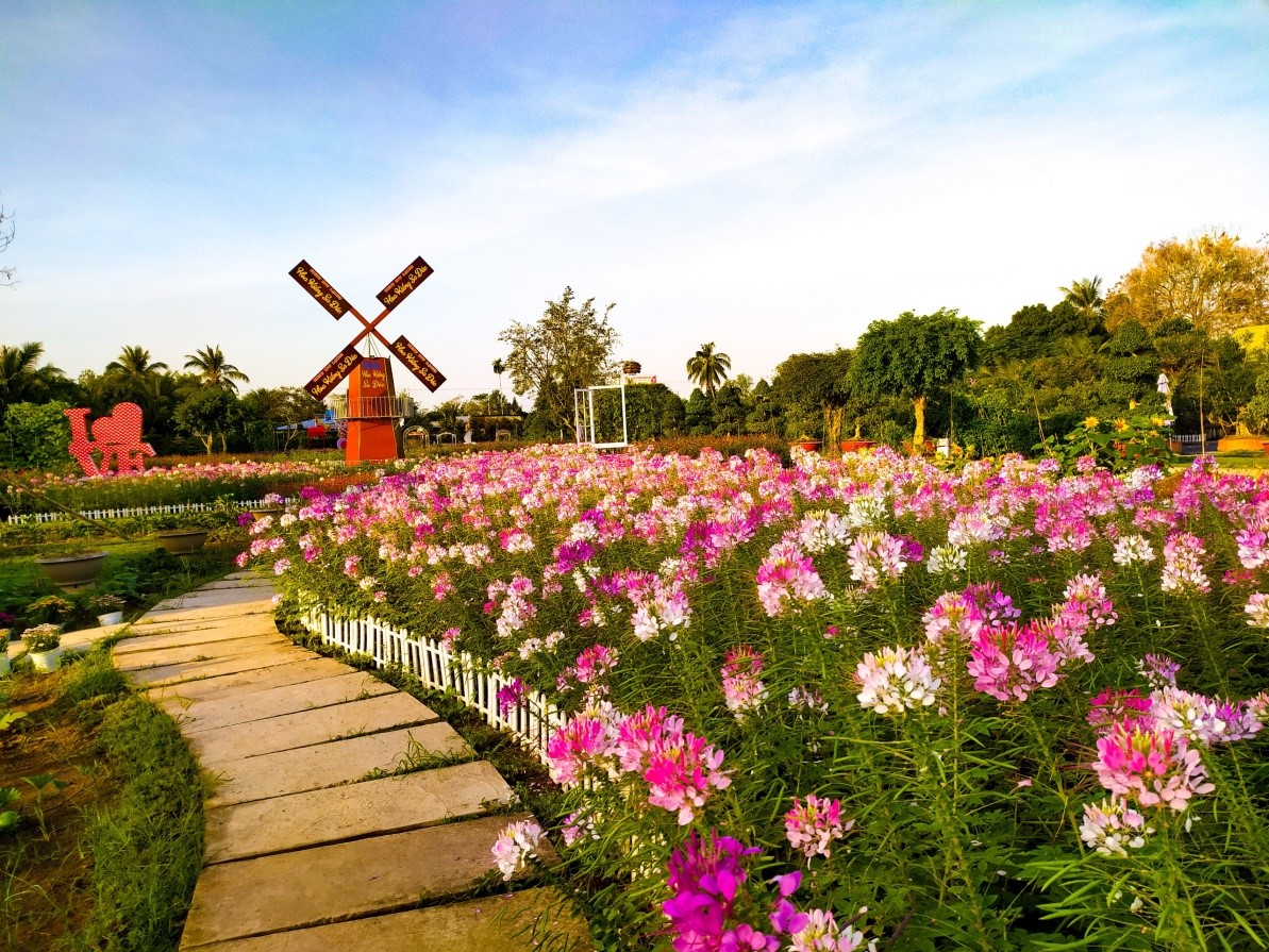 SA DEC FLOWER TOURISM