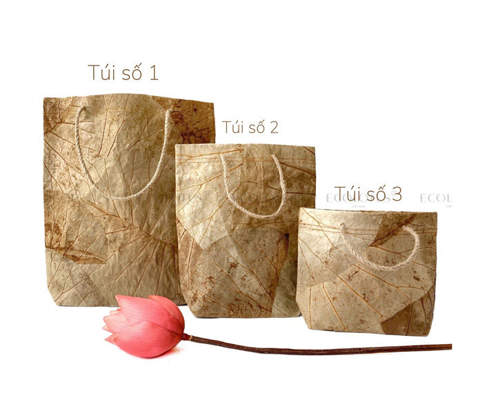 Túi lá sen ECOLOTUS