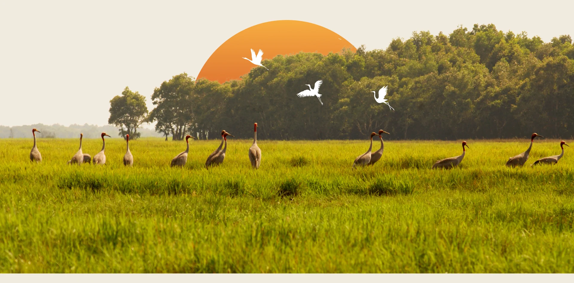 tri thuc hoa nong dan