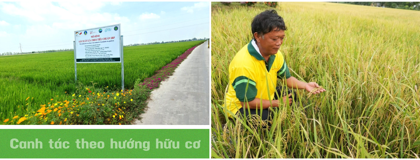 tri thuc hoa nong dan