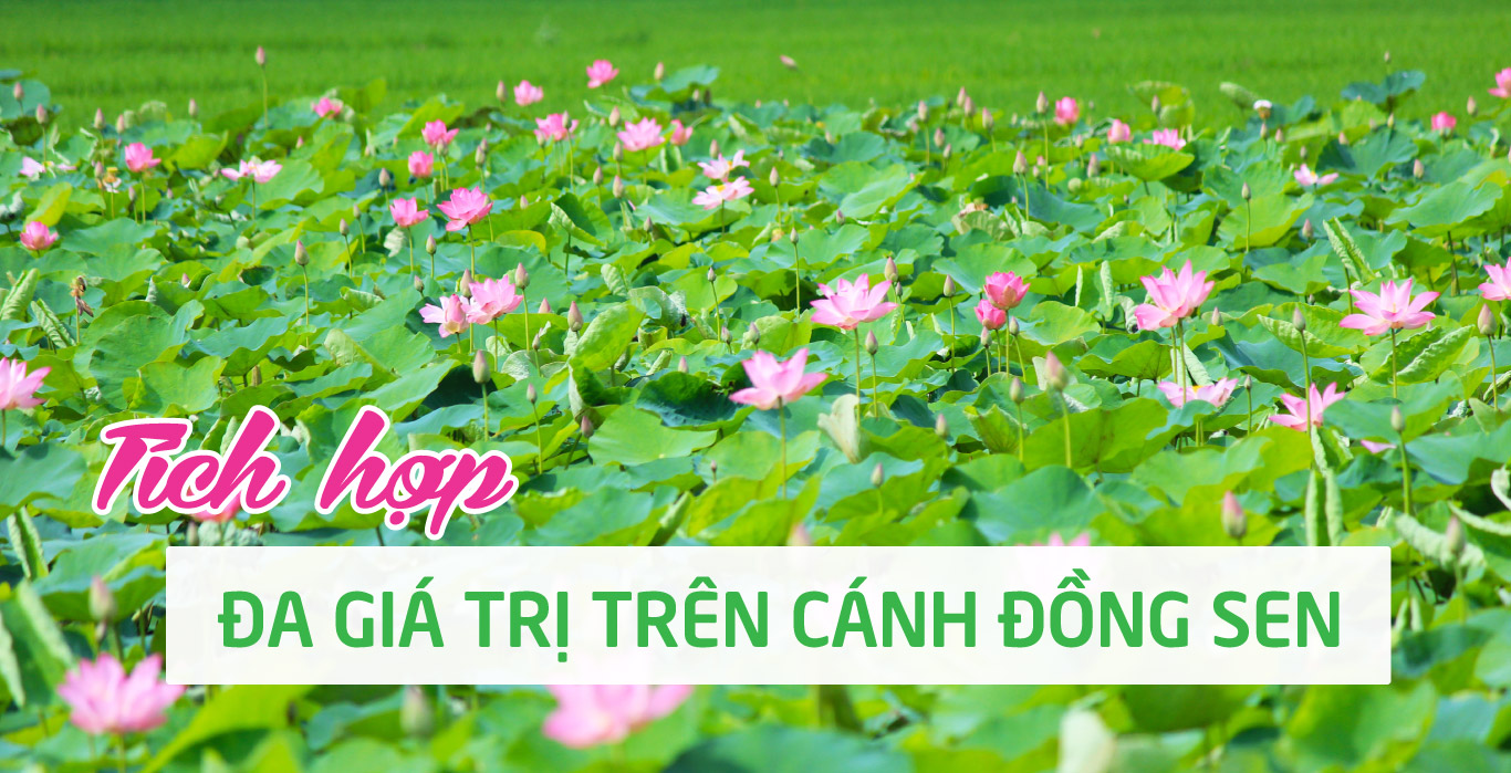 tri thuc hoa nong dan