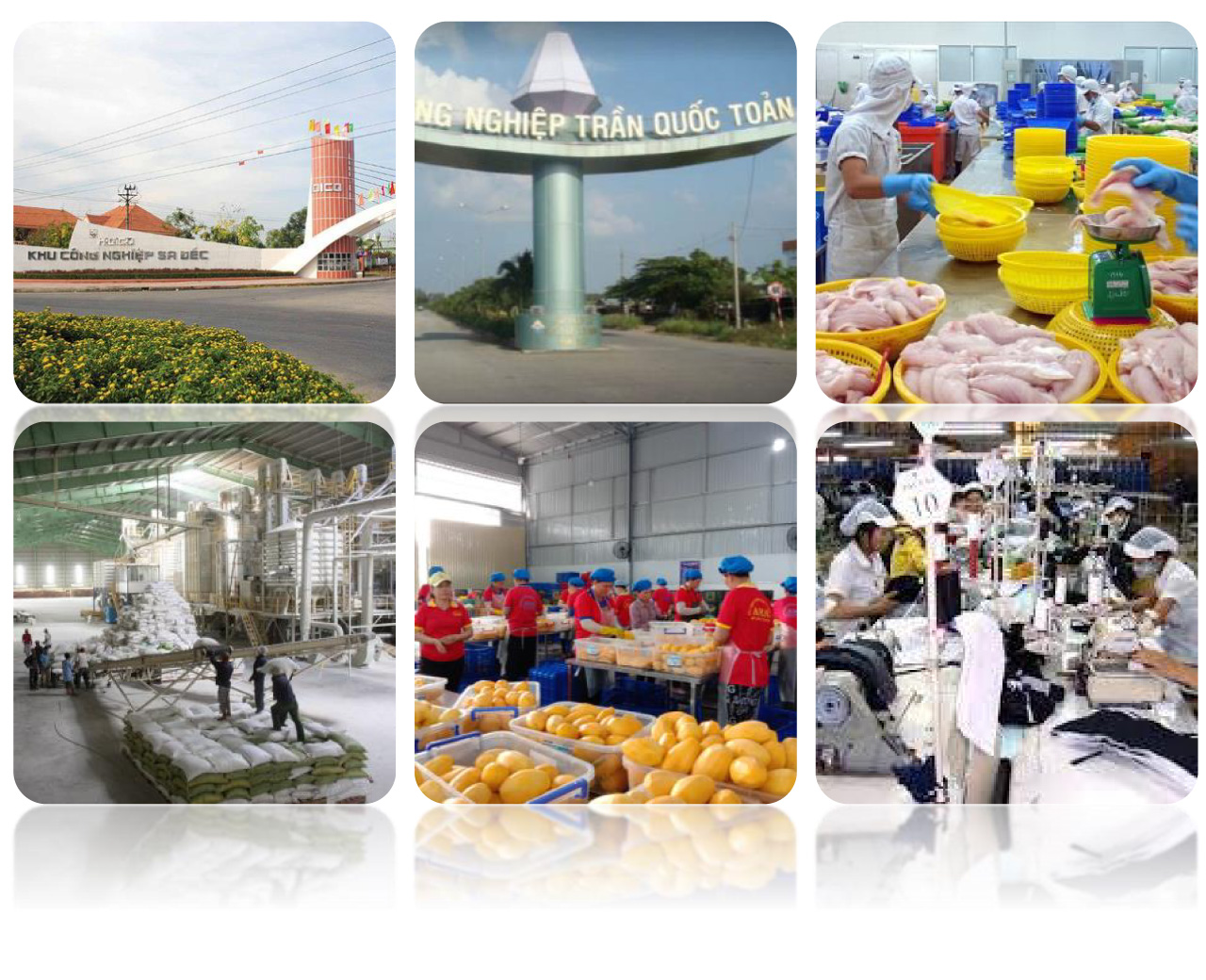 tri thuc hoa nong dan