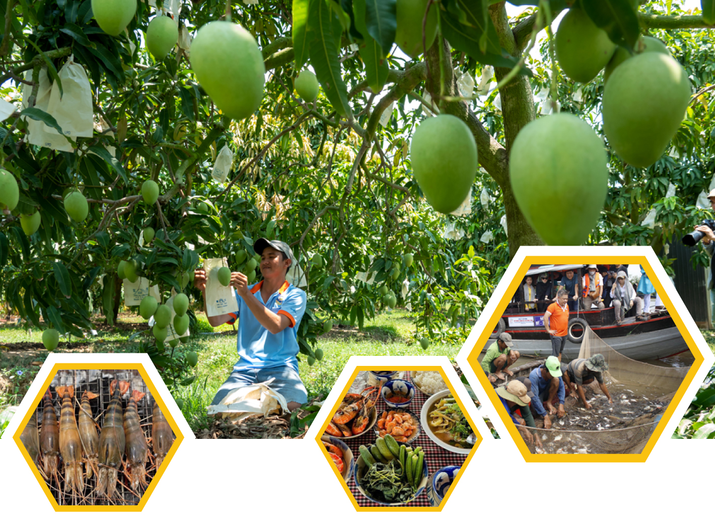 tri thuc hoa nong dan