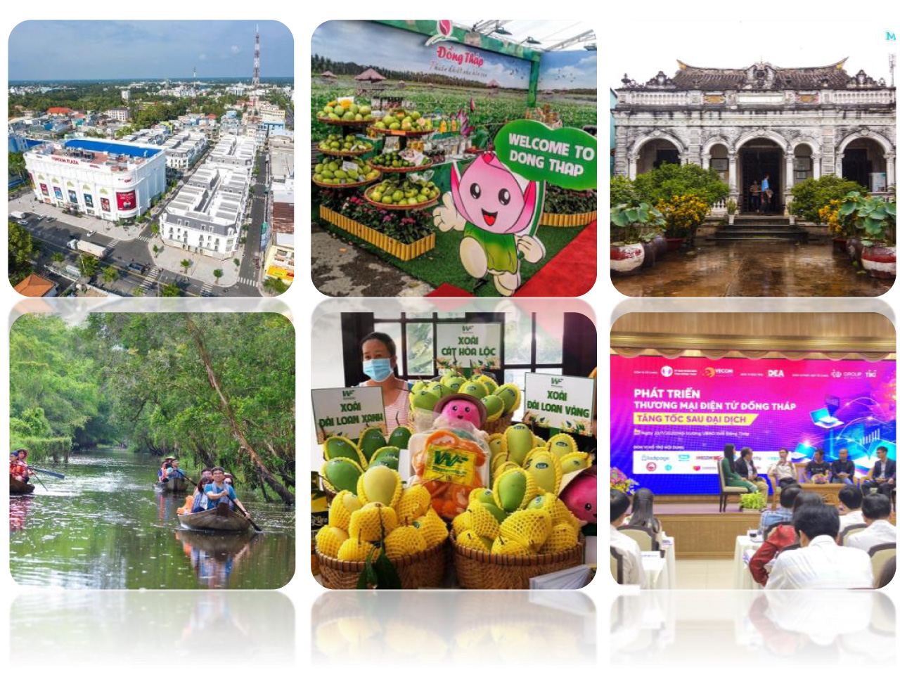 tri thuc hoa nong dan