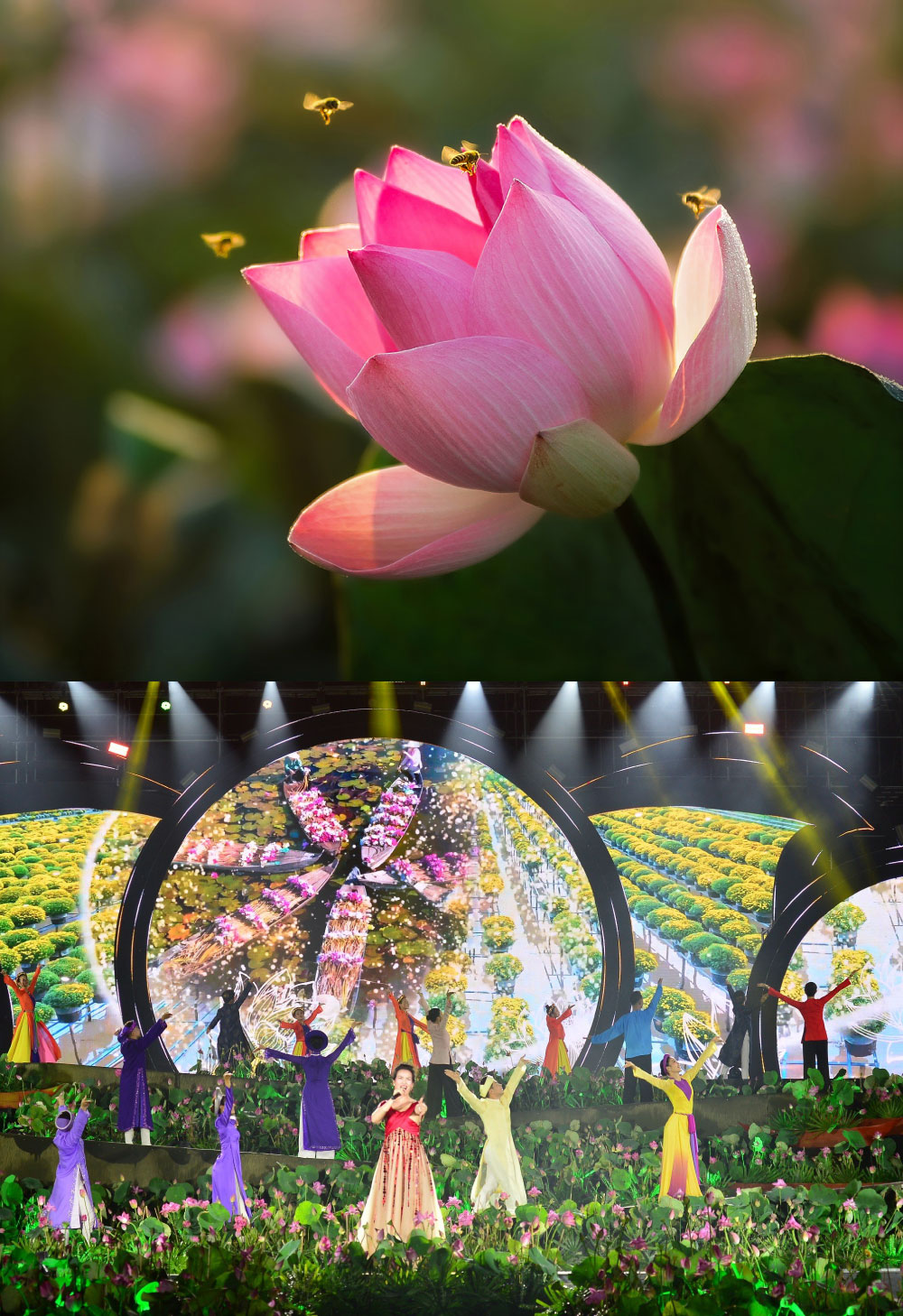 tri thuc hoa nong dan