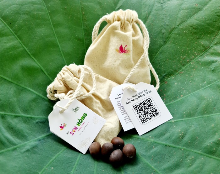 Đồng Tháp trao hạt sen hồng để lan tỏa tình yêu hoa Sen