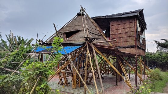 PHONG LE VENT (NGÔI NHÀ TRE)